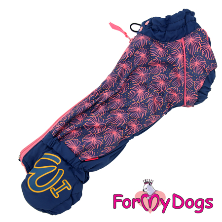 Afbeelding voor categorie Winterpakken