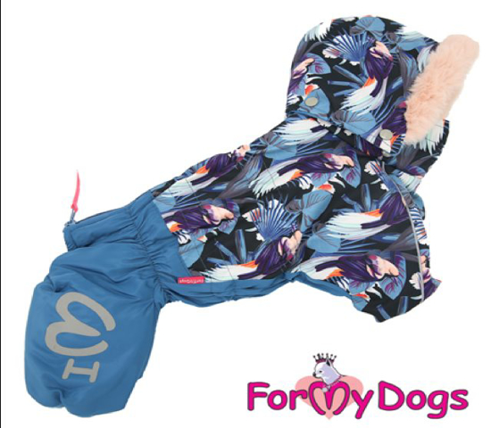 Afbeeldingen van ForMyDogs Alfin