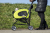 Afbeeldingen van InnoPet®Buggy 5 in 1