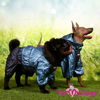 Afbeeldingen van ForMyDogs  Aaron