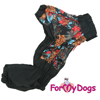 Afbeeldingen van ForMyDogs Geraldine
