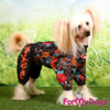 Afbeeldingen van ForMyDogs Geraldine