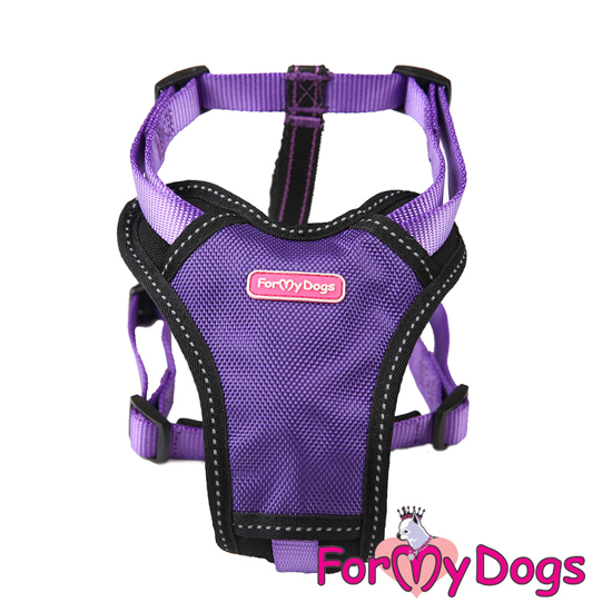 Picture of Harness Purple