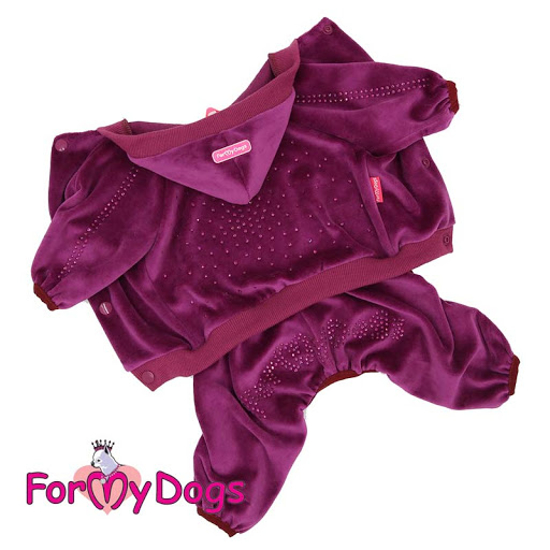 Afbeeldingen van ForMyDogs Collie