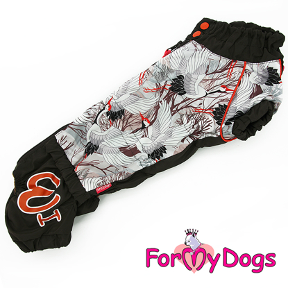 Afbeeldingen van ForMyDogs Jacky