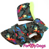 Afbeeldingen van ForMyDogs Army