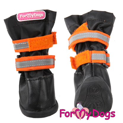 Afbeeldingen van ForMyDogs Lars