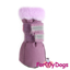 Afbeeldingen van ForMyDogs Anneke