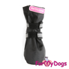 Afbeeldingen van ForMyDogs Blacky