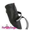 Afbeeldingen van ForMyDogs Blacky