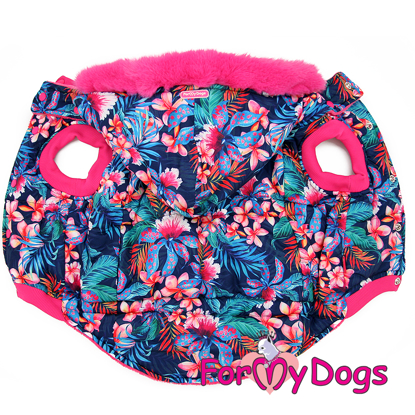 Afbeeldingen van ForMyDogs Linda