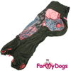 Afbeeldingen van ForMyDogs Viany Female Dachshund