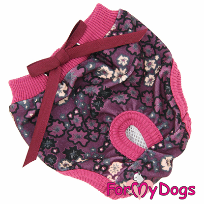 Afbeeldingen van ForMyDogs Karin