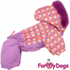 Afbeeldingen van ForMyDogs  TDW0145-2023 F