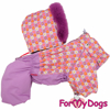 Afbeeldingen van ForMyDogs  TDW0145-2023 F