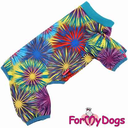 Afbeeldingen van ForMyDogs TDW0190-2023