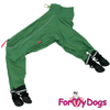 Afbeeldingen van ForMyDogs TDSS0001-2023 M