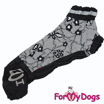 Afbeeldingen van 615SS-2022 F