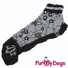 Afbeeldingen van 615SS-2022 FFemale Dachshund