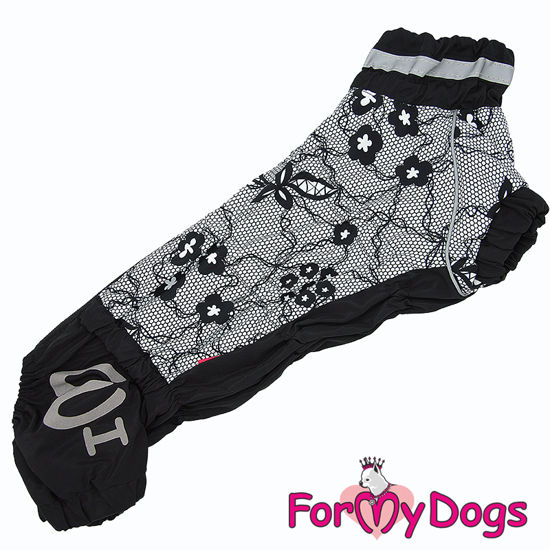 Afbeeldingen van 615SS-2022 FFemale Dachshund