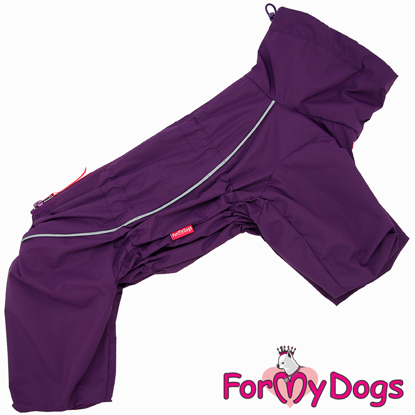 Afbeeldingen van ForMyDogs TDSS0036-2024 F