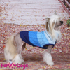 Afbeeldingen van ForMyDogs TDW0321-2024