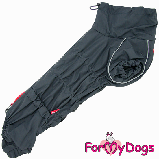 Afbeeldingen van ForMyDogs TDSS0040-2024T Male Dachshund
