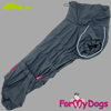 Afbeeldingen van ForMyDogs TDSS0040-2024T Male Dachshund