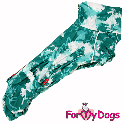 Afbeeldingen van ForMyDogs TDSS0044-2024T FFemale Dachshund