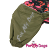 Afbeeldingen van ForMyDogs TDW0334/3-2024 F