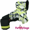 Afbeeldingen van ForMyDogs   TDW0349-2025 Male   PRE ORDER !