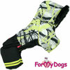 Afbeeldingen van ForMyDogs   TDW0349-2025 Male   PRE ORDER !