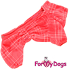 Afbeeldingen van ForMyDogs  TDW0429-2025 F FEMALE   PRE ORDER !!!!