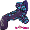 Afbeeldingen van ForMyDogs  TDW0346-2025 F Female   PRE ORDER !