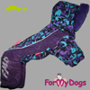 Afbeeldingen van ForMyDogs  TDW0346-2025 F Female   PRE ORDER !