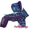 Afbeeldingen van ForMyDogs  TDW0346-2025 F Female   PRE ORDER !