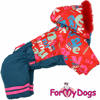 Afbeeldingen van ForMyDogs  TDW0353-2025 F Female   PRE ORDER !