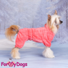 Afbeeldingen van ForMyDogs  TDW0429-2025 F FEMALE