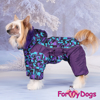 Afbeeldingen van ForMyDogs  TDW0346-2025 F Female   PRE ORDER !