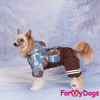 Afbeeldingen van ForMyDogs   TDW0395-2025 M Male   PRE ORDER !