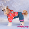 Afbeeldingen van ForMyDogs  TDW0353-2025 F Female   PRE ORDER !