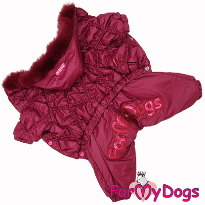 Afbeeldingen van ForMyDogs   TDW0288-2025 F Famale