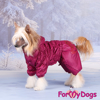Afbeeldingen van ForMyDogs   TDW0288-2025 F Famale
