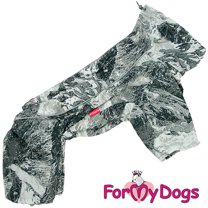 Afbeeldingen van ForMyDogs   TDW0419-2025 F Female  Pre Order, levertijd  eind December begin Januari !!!!!!!!