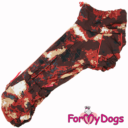 Afbeeldingen van ForMyDogs  TDW0331-2024T F Female Dachshund