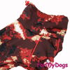 Afbeeldingen van ForMyDogs  TDW0331-2024T F Female