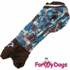 Afbeeldingen van ForMyDogs  TDW0399-2025T F Female Dachshund