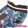 Afbeeldingen van ForMyDogs  TDW0399-2025T F Female Dachshund
