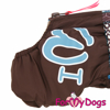Afbeeldingen van ForMyDogs  TDW0399-2025T F Female Dachshund