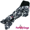 Afbeeldingen van ForMyDogs   TDW0366-2025Т M Male Dachshund